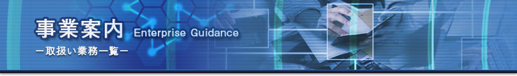 ƈē Enterprise Guidance